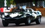 Jaguar D-Type 1954 года